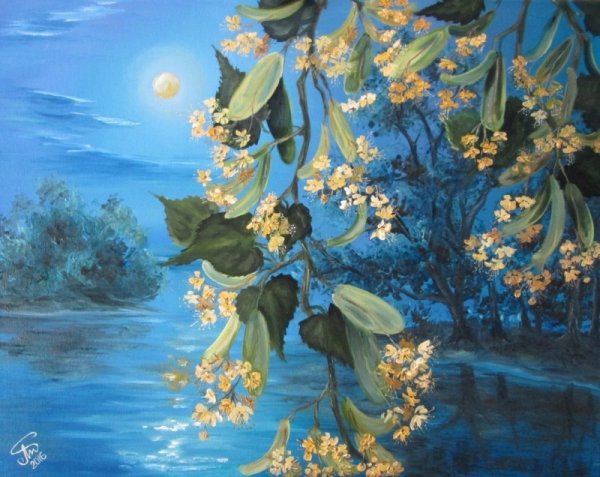 Живопись липа цветет