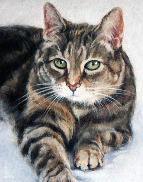 Живопись портрет с котом