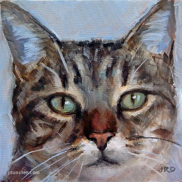 Кот акрилом на холсте