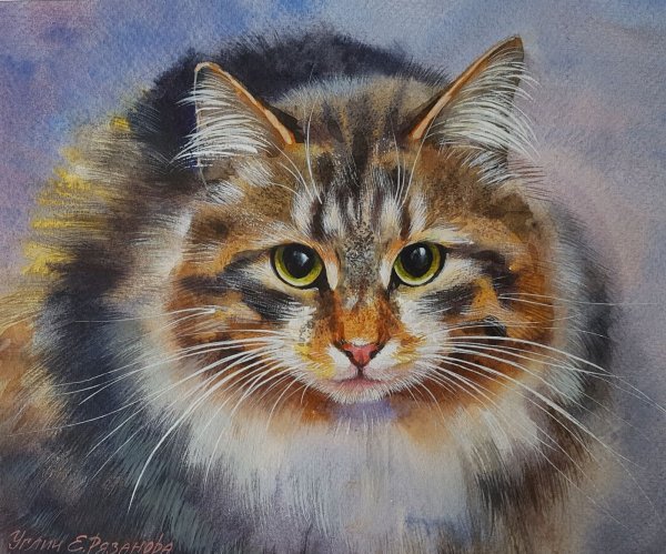 Коты художницы Екатерины Рязановой