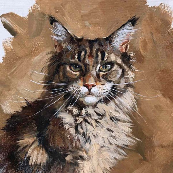 Портрет кошки