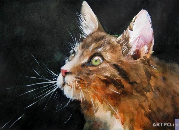 Живопись портрет с котом