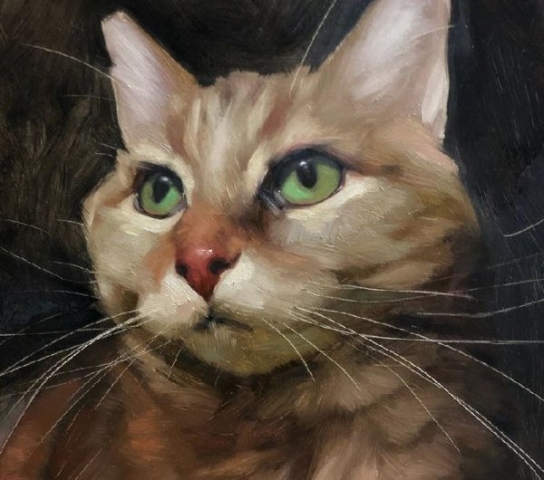 Дженнифер ГЕННАРИ