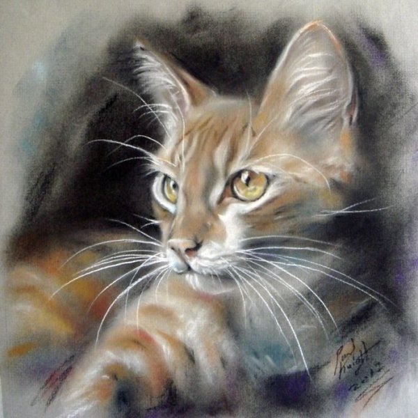 Дженнифер Дженнари (Jennifer Gennari)