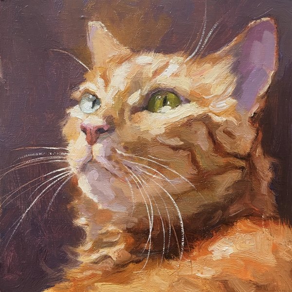 Кошки маслом на холсте