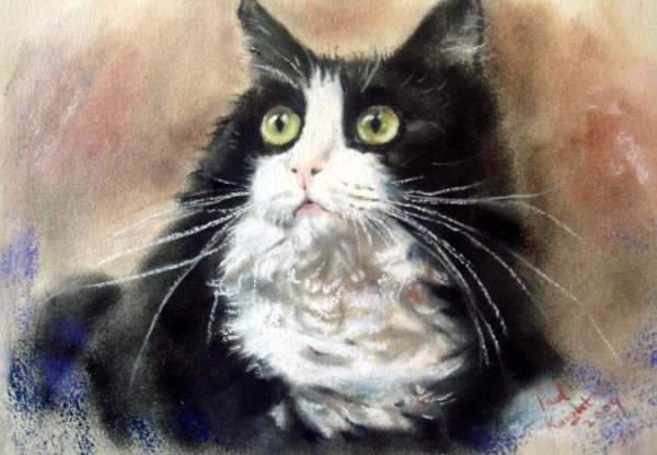 Diane Irvine черные коты