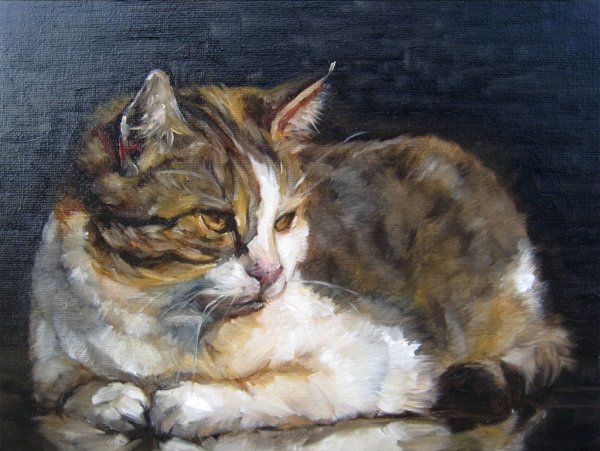 Кошка акрилом