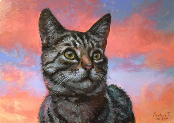 Мейн кун портрет