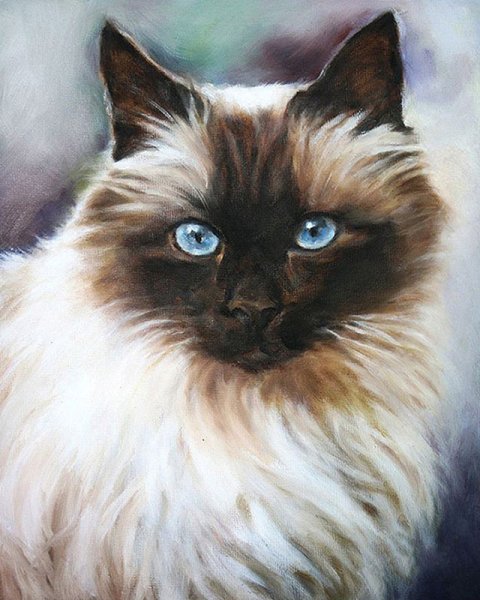 Художник Ермолаева Олеся кошки