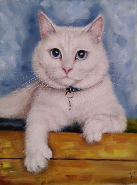 Марсия Болдуин картины кошки