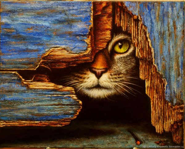 Рыжий кот пастелью