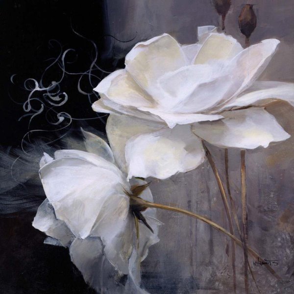 Белые цветы живопись