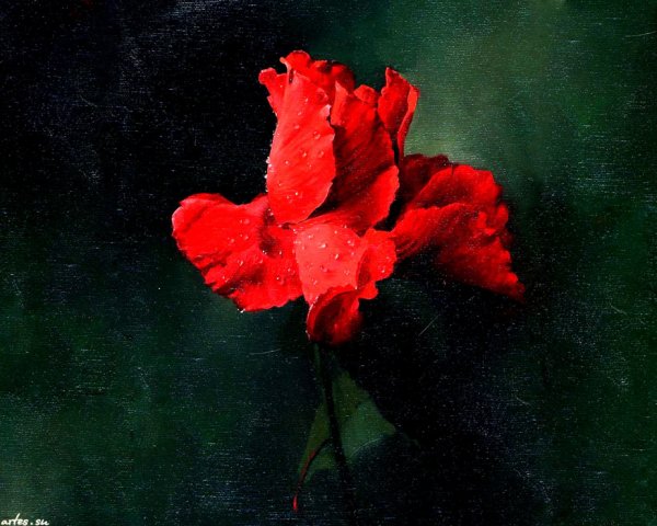 Художник Алексей Антонов ( 1957 г.р)