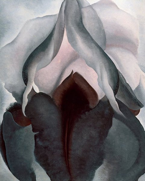 Джорджия о'Кифф черный Ирис