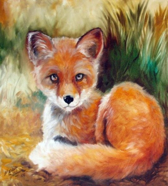 Художник Marcia Baldwin Лисичка