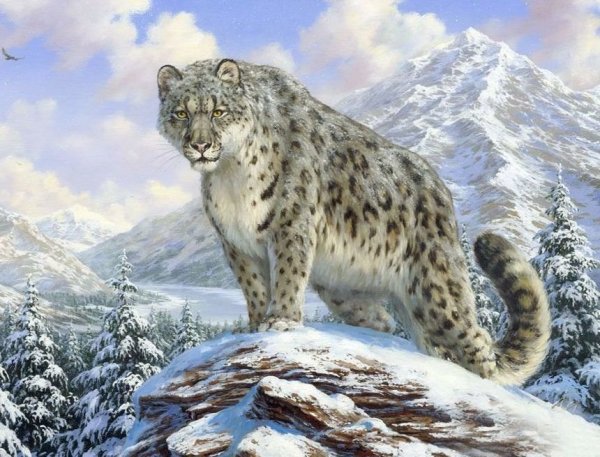 Данчурова Татьяна художник