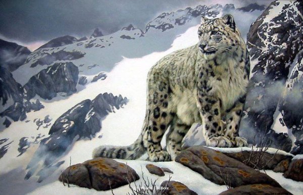 Снежный Барс в Гималаях