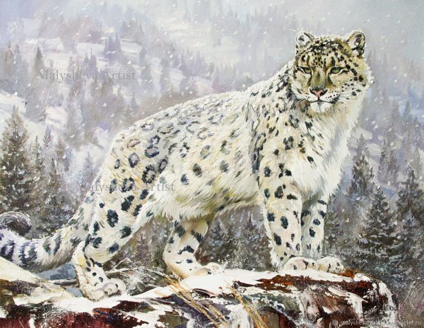 Снежный Барс Данчурова