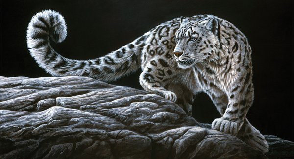 Снежный Барс арты