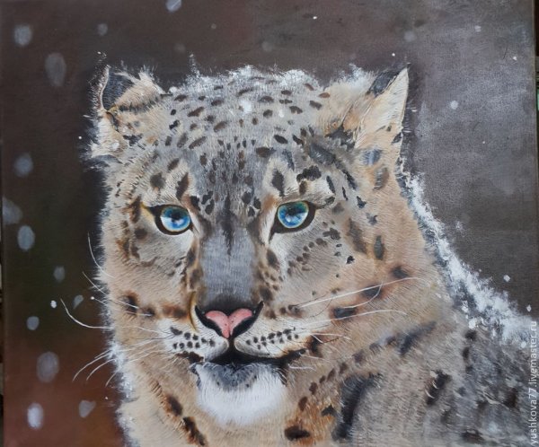 Никас Сафронов снежный Барс