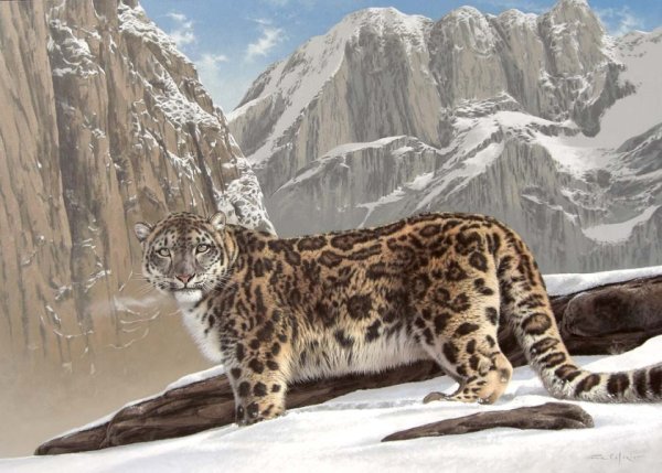 Fabrizio Caforio художник