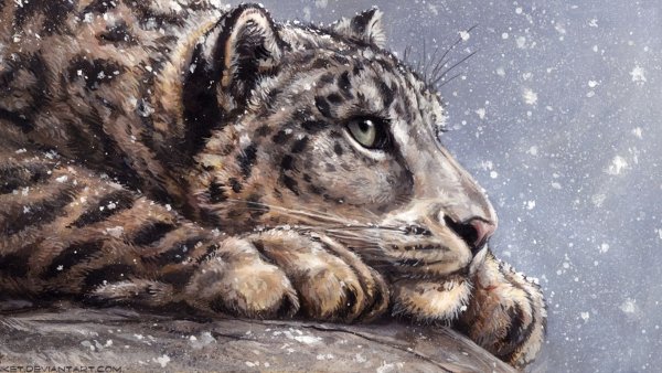 Снежный Барс арт