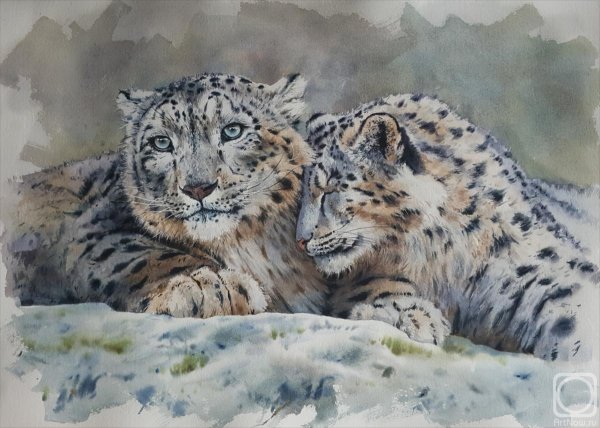 Джордж Шаллер снежные Барсы