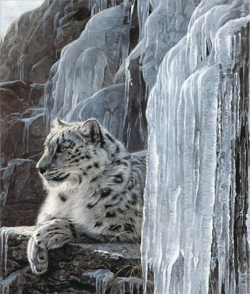 Коллин Богл художник белый тигр