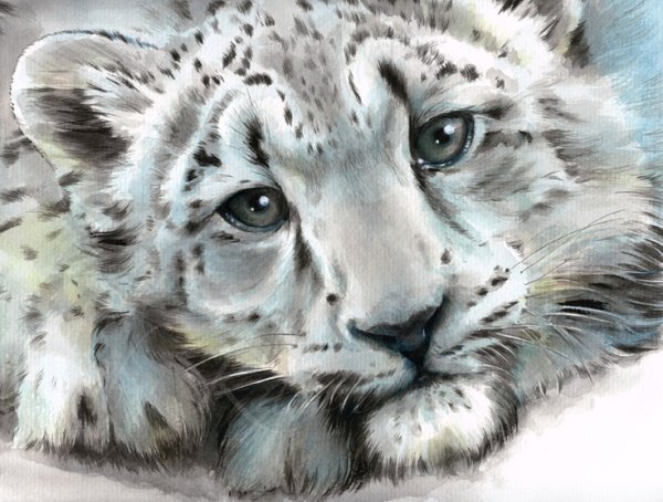 Снежный Барс акварель