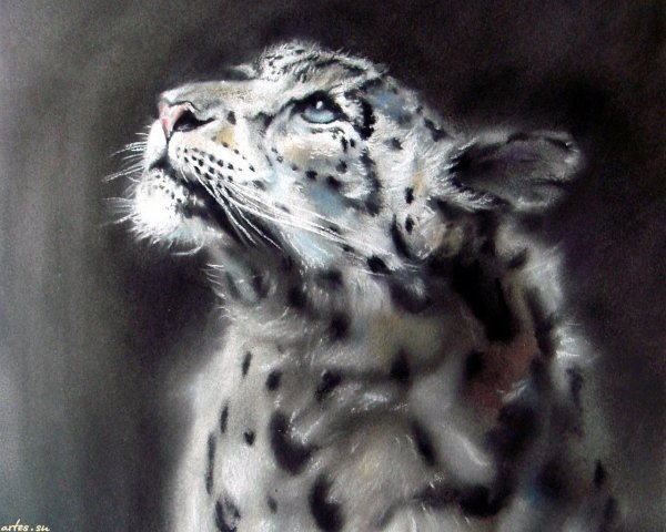 Снежный Барс живопись