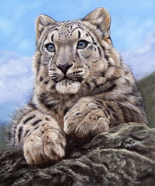 Осетинский снежный Барс