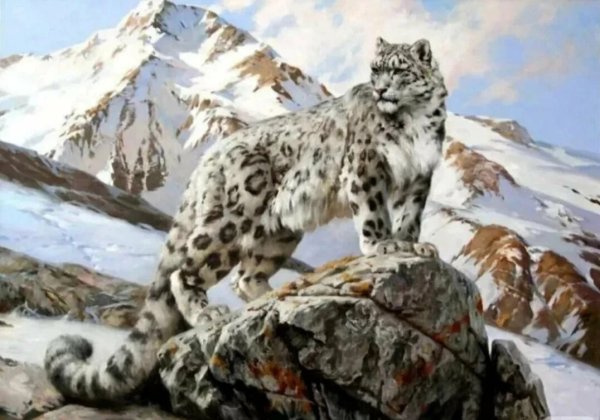 Алмазная мозаика снежный Барс