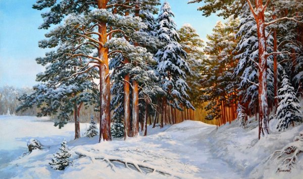 Зимний лес для детей