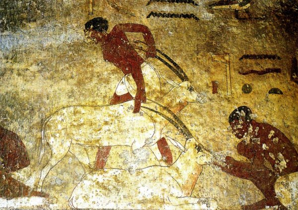 Роспись гробницы Небамона