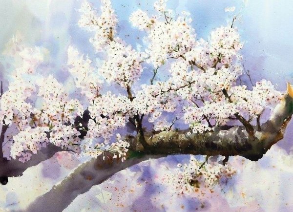 Художник Oh young Seong (Корея)