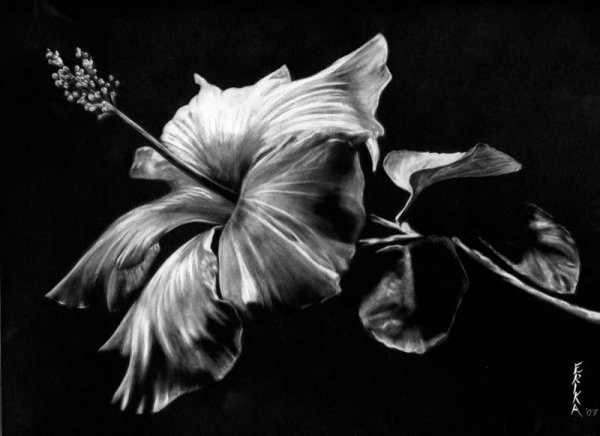 Живопись на черном фоне