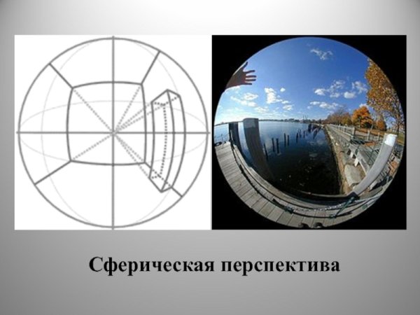 Сферическая перспектива снизу