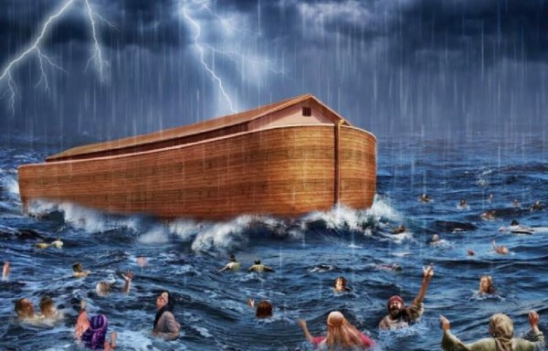 Ной Ковчег дерево Гофер
