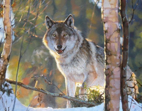Евгений Борисович Медведкин художник