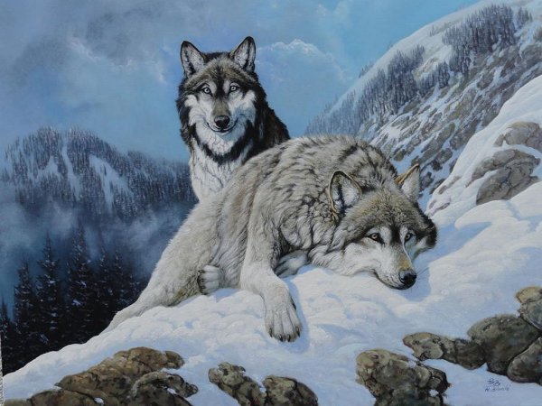 Картина волки
