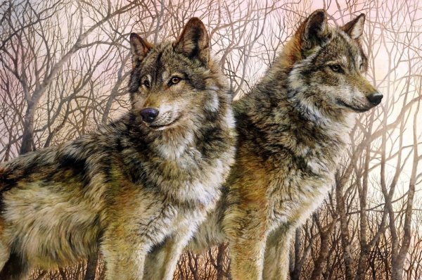 Художник Бонни Маррис