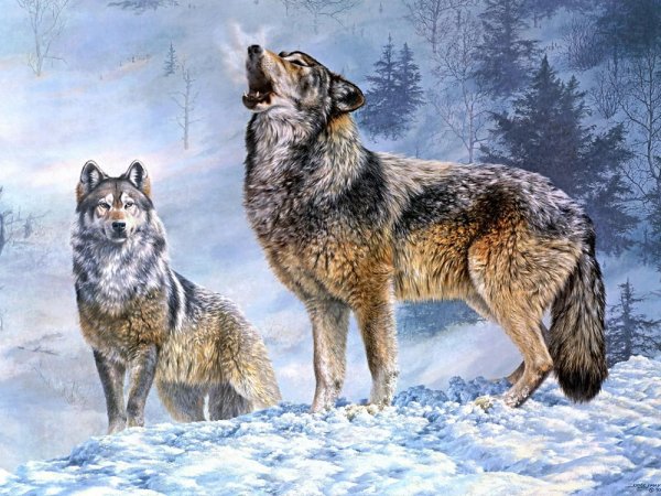Живопись животные волки