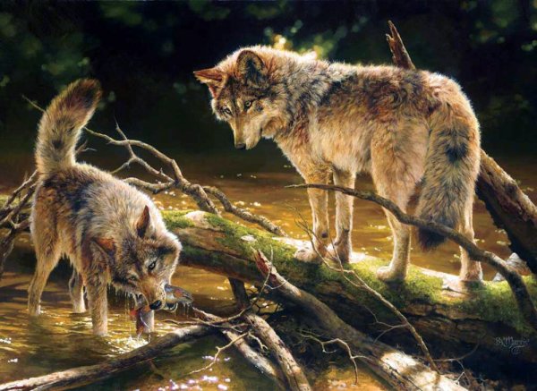 Карл Брендерс волки