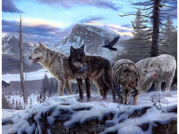 Художник-анималист Даниэль Смит