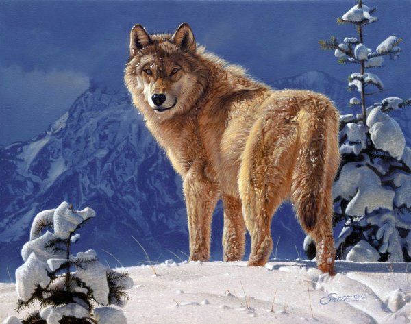 Художник Бонни Маррис