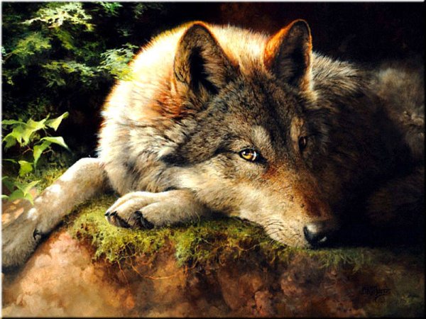 Alfred Wierusz-Kowalski волк