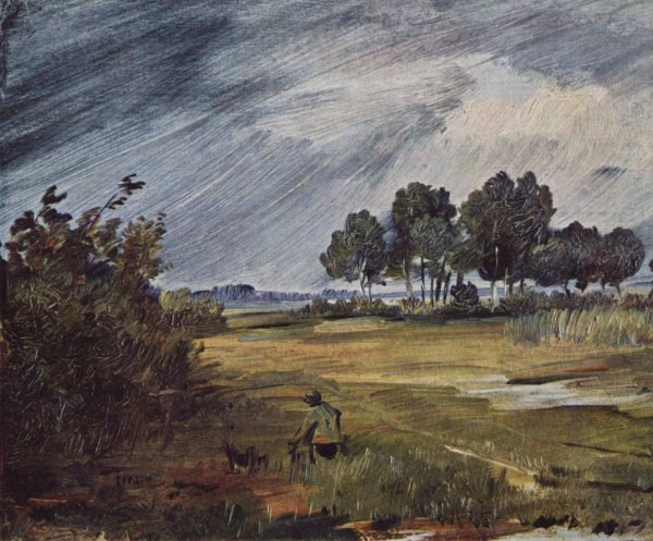 Вильгельм Буш пейзаж с дождем