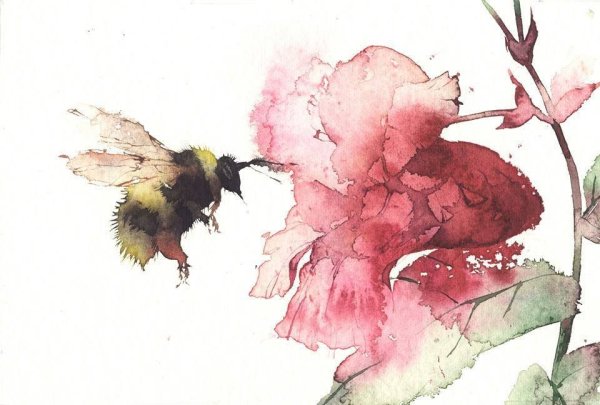 Китай пагода пейзаж акварель