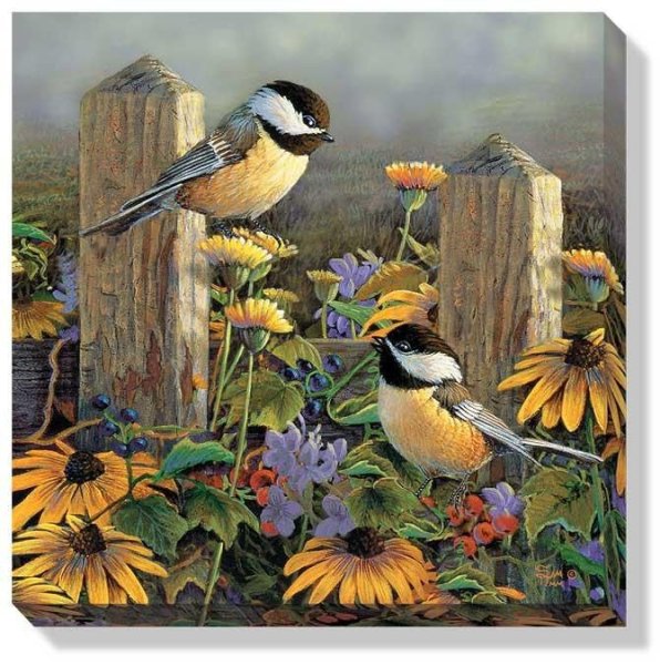 Художник Sam Timm