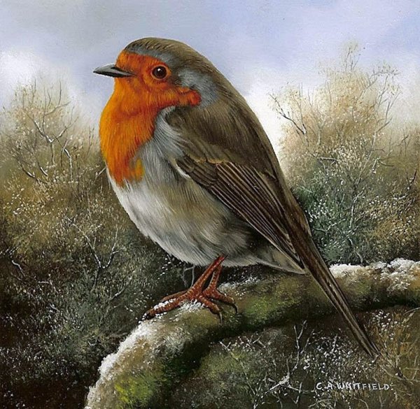 Художник Carl Whitfield.